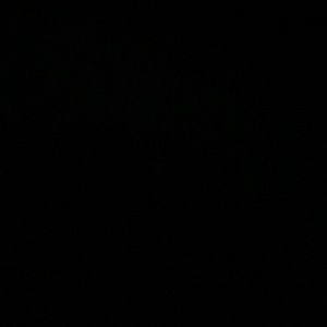 Meet your Posher, Louis